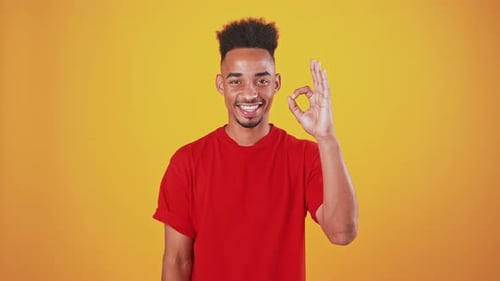 Studioporträt eines glücklichen Afroamerikaners, der lächelt und gestikuliert Okay vor der Kamera Orange Hintergrund