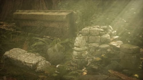 Hoary Ruins of Ancient City in Pine Forest