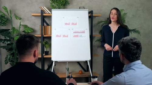 Business Presentation by Woman to Colleagues in Office
