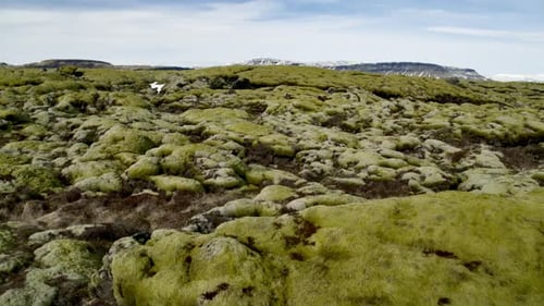 Eldhraun Lava Field