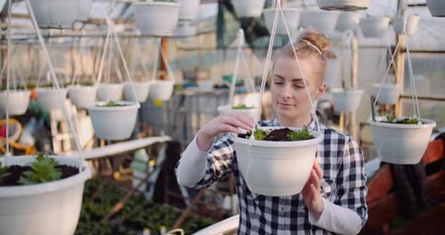 Woman Planting Plants in Greenhouse Setting