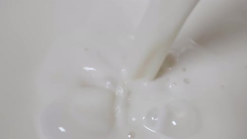 White Milk