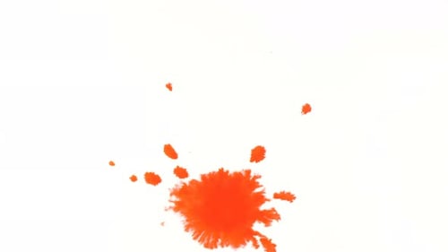 Red Watercolor Paint Drips Onto a White Sheet and Spreads Apart, Psychedelic Abstract Drops