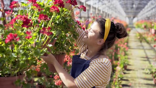 Woman Holding Blooming Potted Flowers in Greenhouse