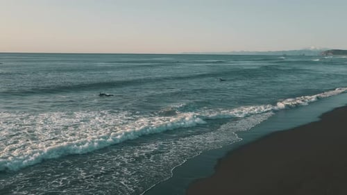 Many Young Surfers People Swim on Water Waves in Ocean Nature Background