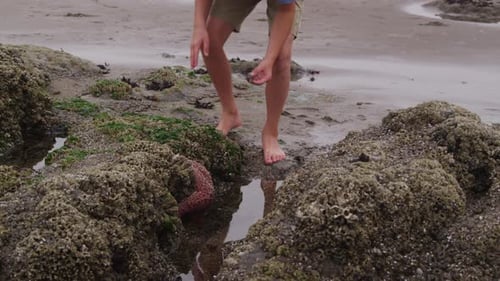 Young boy looking at tide pool. Shot on RED EPIC for high quality 4K, UHD, Ultra HD resolution.