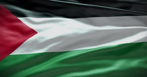 Realistic Waving Palestine Flag Seamless Loop Animation