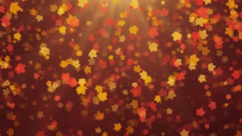 Bucle de fondo de hojas caídas