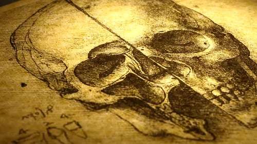 Anatomie, Kunstzeichnen