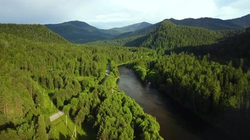 Aerial View of River Flowing Through Forest