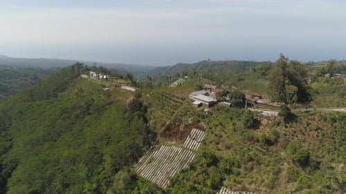 Mountain Landscape Farmlands and Village Bali, Indonesia