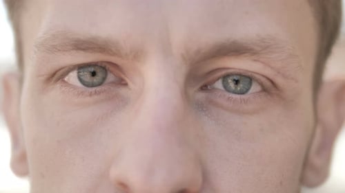Extreme Close Up of Person's Face and Eyes