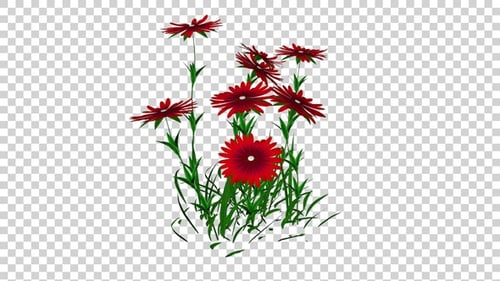Elegant Red Flowers Swaying in Gentle Breeze Animation