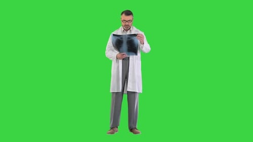 Doctor Wearing Lab Coat Analyzing Xray Image of Lungs on a Green Screen Chroma Key