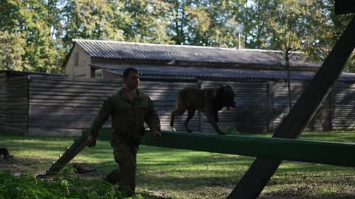 Man Training German Shepherd Dog on Obstacle Course