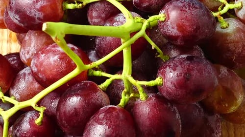 Grapes 4