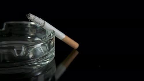 De la nicotine dans un cendrier.