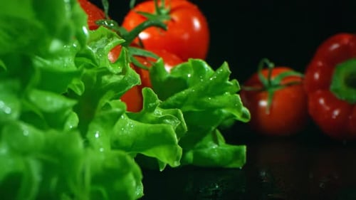 Fresh Lettuce and Red Tomatoes Close Up