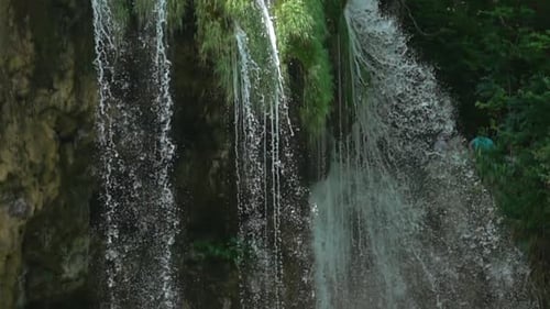 Wald Wasserfall Bäche