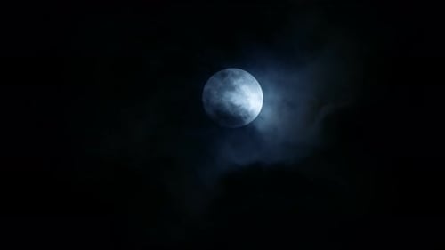 Cinématographique Moonlight