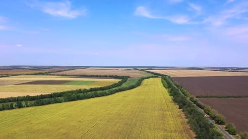 Highway among agricultural fields. Plowed fields and sunflower fields in autumn