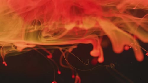 Vibrant Red and Yellow Ink Swirling into Water