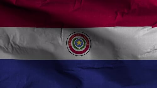Realistic Waving National Flag of Paraguay