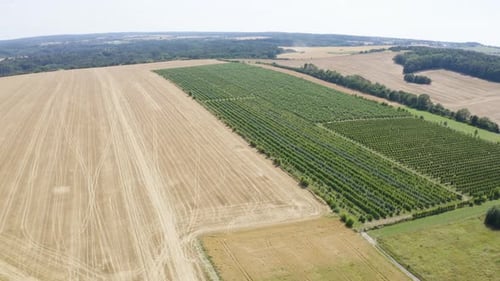 Champs de tir aériens par Drone dans une zone rurale