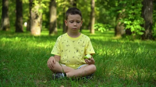 Der Junge isst einen leckeren Apfel im Park zwischen den großen grünen Bäumen im Hintergrund