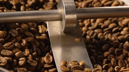 Roasting Process in an Industrial Coffee Roasting Machine in a Factory