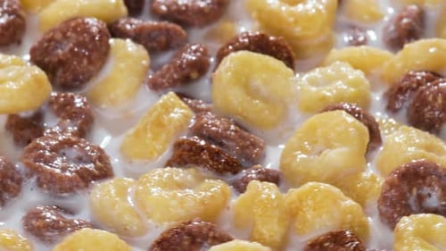 Delicious Cereal Rings and Milk Close Up