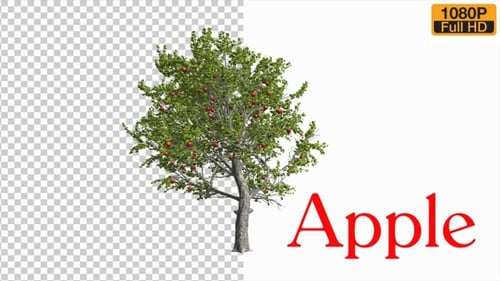 Stürmischer Baum