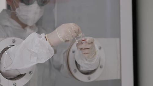 Coronavirus