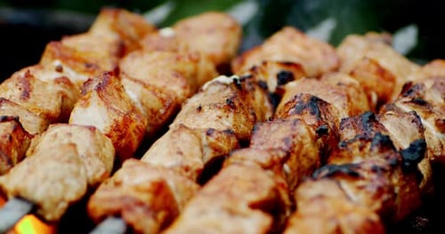 Grilled Meat Shish Kebabs on Skewers
