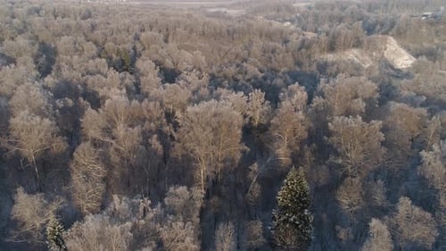 Winter Landscape in Countryside