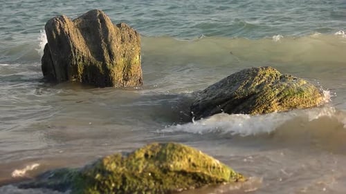 Sea Waves and Stones.
