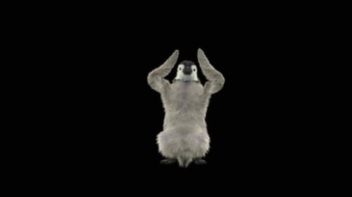 Penguin Dancing HD