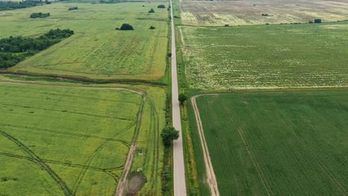 Asphalt Highway Through Green Summer Field