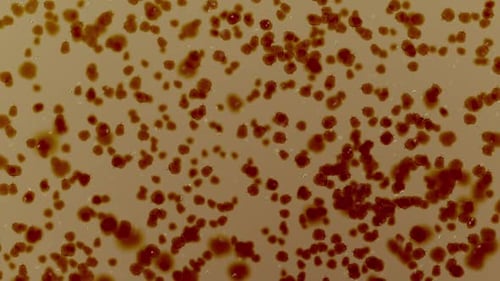 Abstract Microscopic Red Blood Cells Motion Background