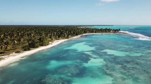Aerial View of Tropical Beach Paradise