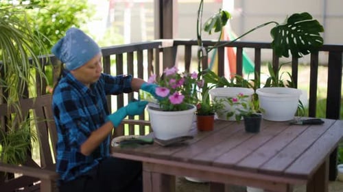 Woman Gardening with Flowers on Outdoor Patio