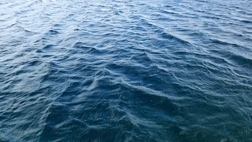 Sea surface