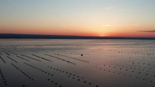 Mediterranean mussel farm in the Mar Piccolo of Taranto