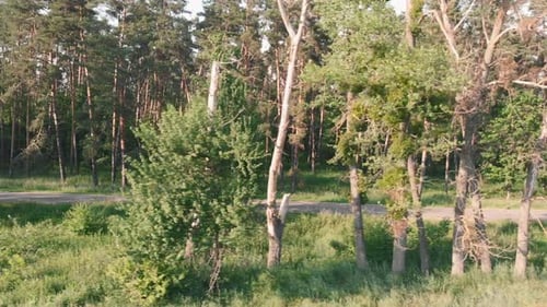 Rennradfahren, Radfahrer, Radfahren, Radfahren, Trainingsübung Radsport und Triathlon
