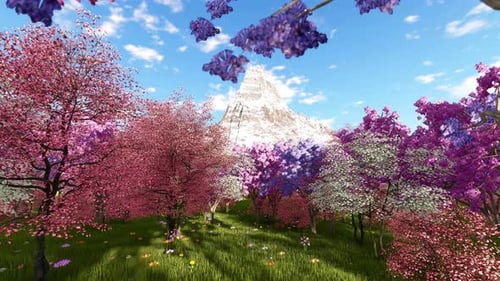 Spring Forest