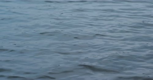 Ripples on the blue surface of the sea