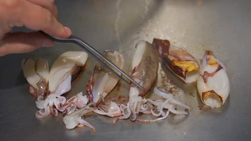 Chef Cooking Squid on Metal Flat-Top Grill