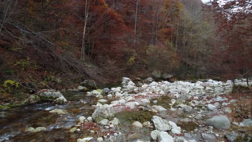 Outono, montanha do rio, árvores de folhagem vermelha