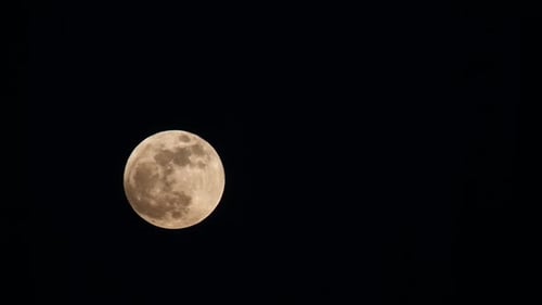 Full Moon Ascending in the Night Sky