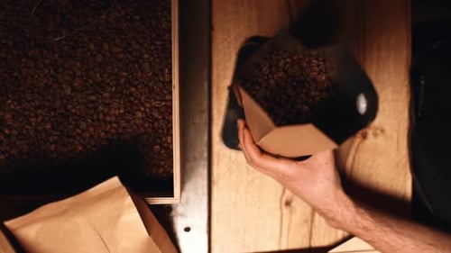 Closeup View From Above in Slow Motion of Barista Man Grabbing Roasted Robusta or Arabica Coffee